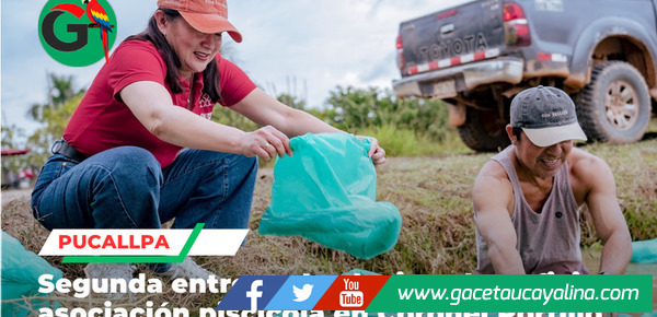 Municipalidad entrega alevinos a productores ganadores de Procompite en Pucallpa