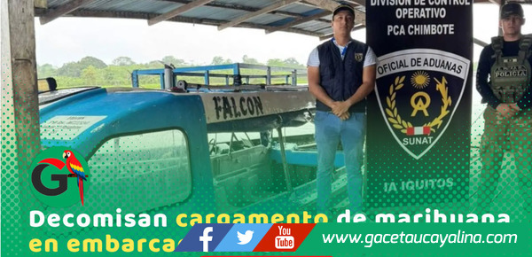 Incautan más de 883 kilos de marihuana en Loreto