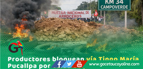 Arroceros bloquean carretera Tingo María–Pucallpa por crisis del precio